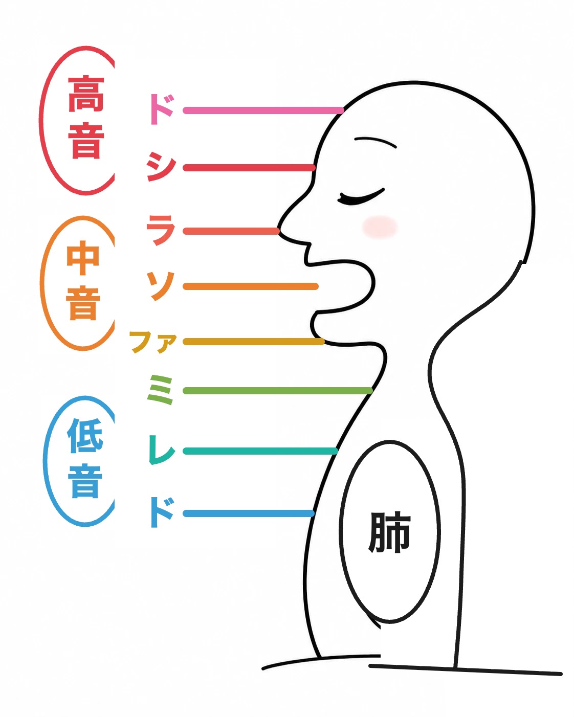 声の高さと体の響きの図